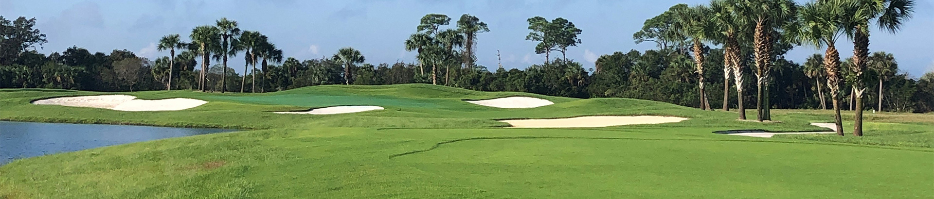 Image of golf ball on tee on grass.